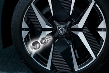 Tuercas de seguridad Peugeot 2008